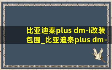 比亚迪秦plus dm-i改装包围_比亚迪秦plus dm-i包围改装